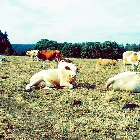 招待所 La Tour Aux Tilleuls